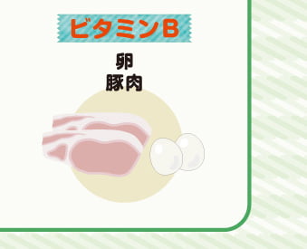 ビタミンB　卵、豚肉